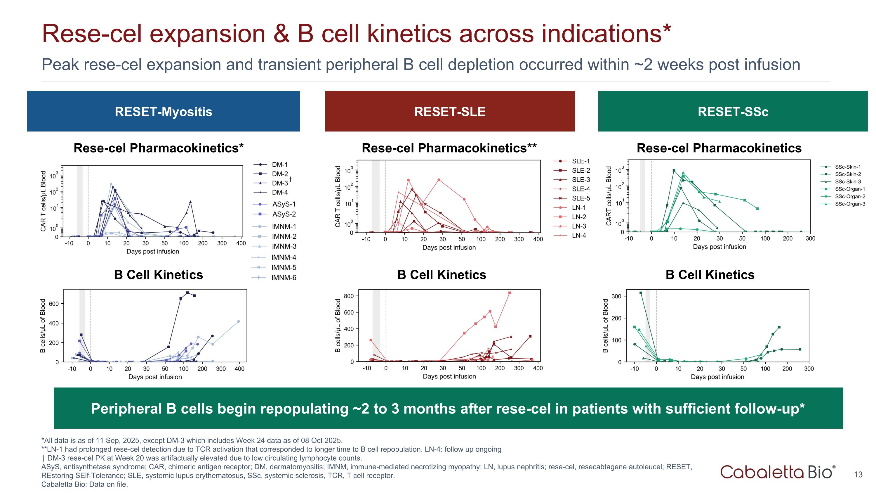 Slide 13
