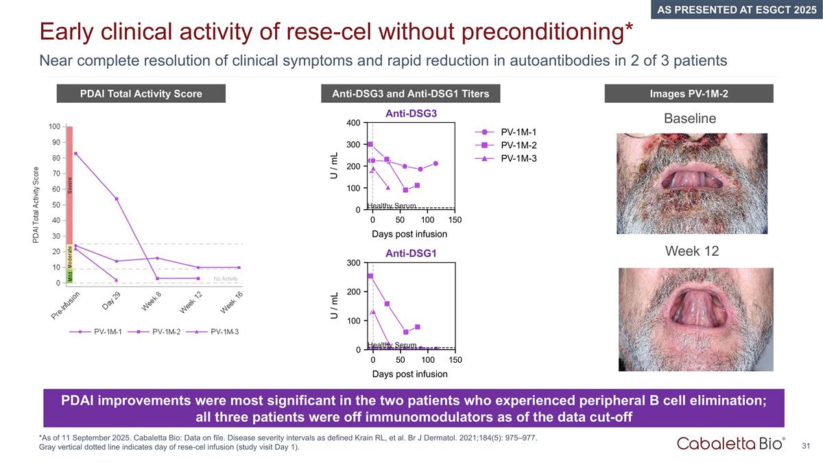 Slide 31