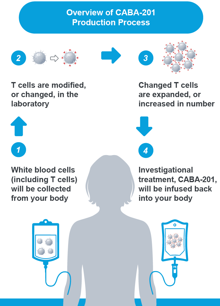 Overview of CABA-201 Production Process. 1. White blood cells (including T cells) will be collected from your body. 2. T cells are modified, or changed, in the laboratory. 3. Changed T cells are expanded, or increased in number. 4. Investigational treatment, CABA-201, will be infused back into your body.