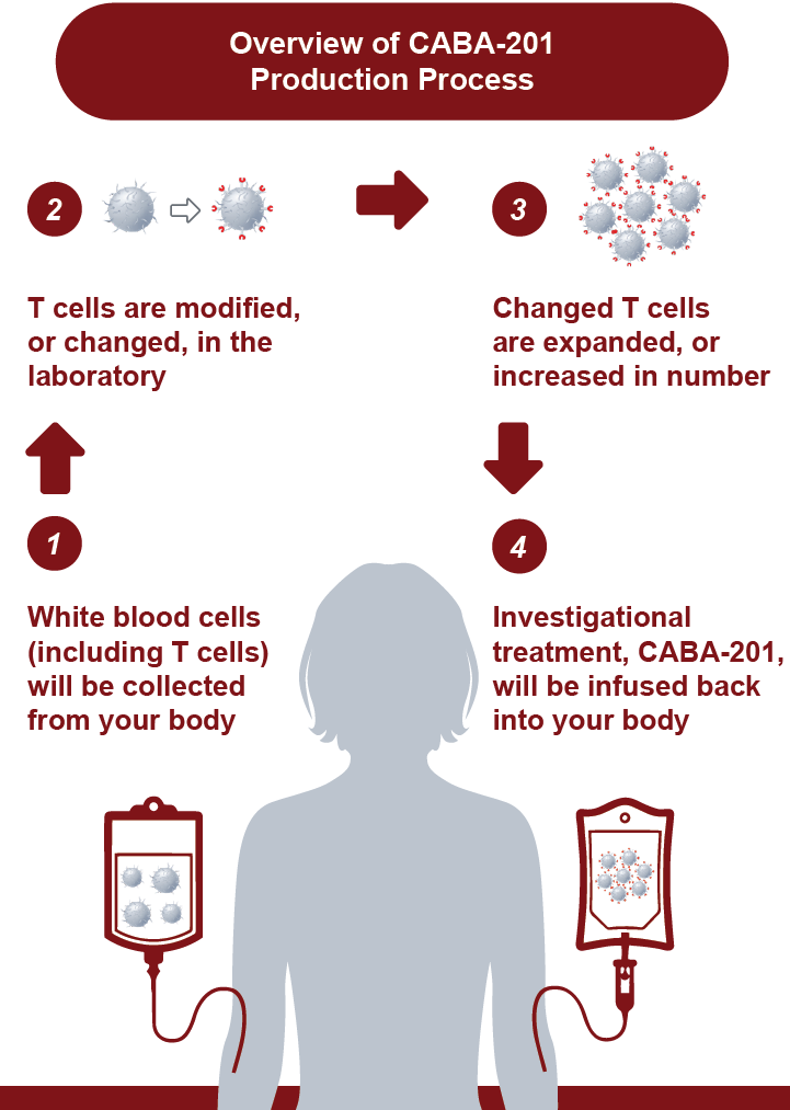 Overview of CABA-201 Production Process. 1. White blood cells (including T cells) will be collected from your body. 2. T cells are modified, or changed, in the laboratory. 3. Changed T cells are expanded, or increased in number. 4. Investigational treatment, CABA-201, will be infused back into your body.